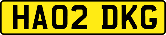 HA02DKG