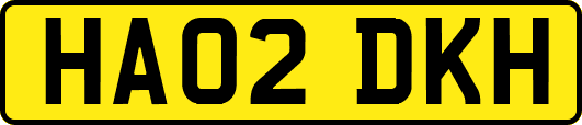HA02DKH