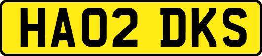 HA02DKS