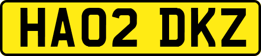 HA02DKZ