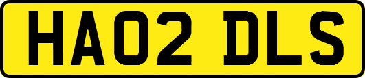 HA02DLS