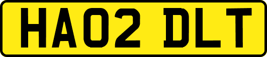 HA02DLT