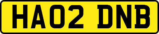 HA02DNB