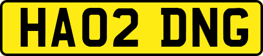 HA02DNG