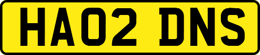 HA02DNS