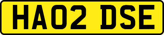 HA02DSE