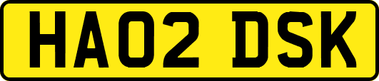 HA02DSK