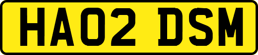 HA02DSM