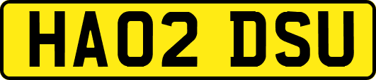 HA02DSU