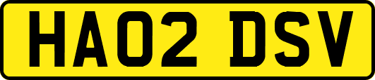 HA02DSV