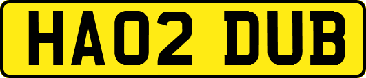 HA02DUB