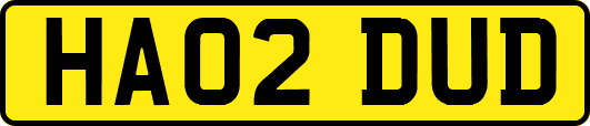 HA02DUD