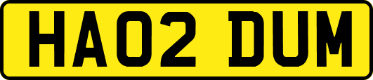 HA02DUM
