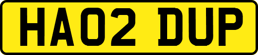 HA02DUP