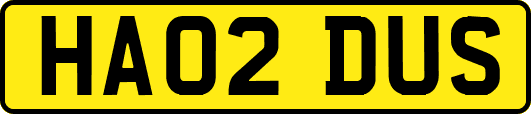 HA02DUS