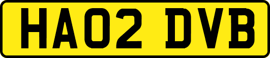 HA02DVB