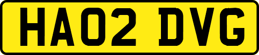 HA02DVG