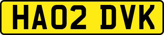 HA02DVK