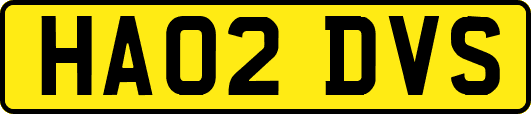 HA02DVS