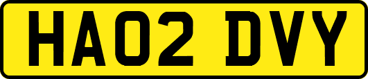 HA02DVY