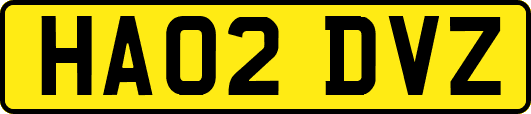 HA02DVZ