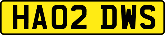 HA02DWS