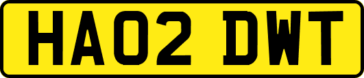 HA02DWT