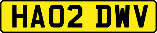 HA02DWV