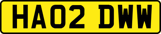 HA02DWW