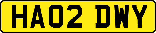 HA02DWY