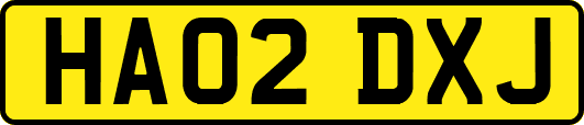 HA02DXJ