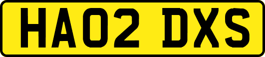 HA02DXS