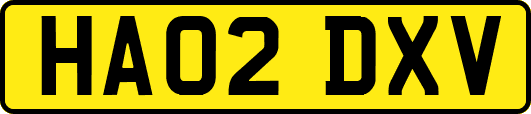 HA02DXV