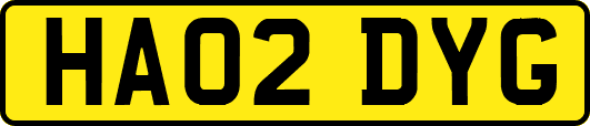 HA02DYG