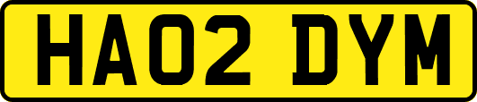 HA02DYM