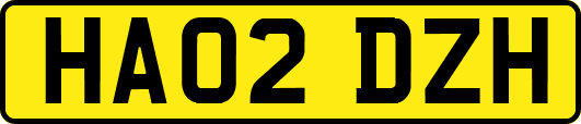 HA02DZH