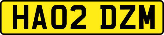 HA02DZM