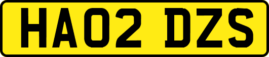 HA02DZS