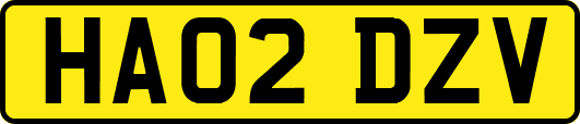 HA02DZV