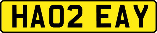 HA02EAY