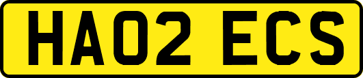 HA02ECS