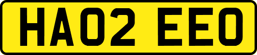 HA02EEO