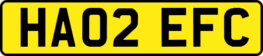 HA02EFC