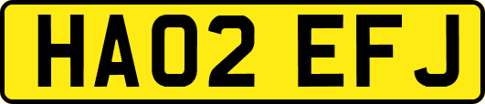 HA02EFJ