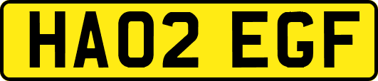 HA02EGF