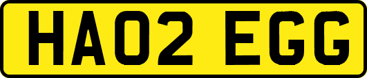 HA02EGG