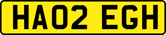 HA02EGH