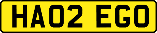 HA02EGO