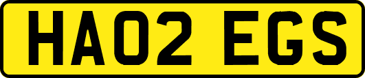 HA02EGS