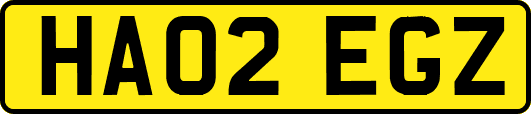 HA02EGZ
